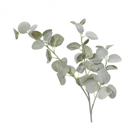 EUCALIPTO EMPOLVADO 69CM
