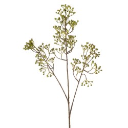 ROSA MOSQUETA VERDE 95CM