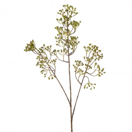 ROSA MOSQUETA VERDE 95CM