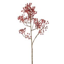 ROSA MOSQUETA ROJO 65CM