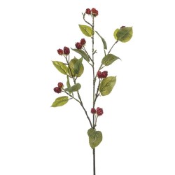 VARA FRAMBUESAS ROJO 90CM