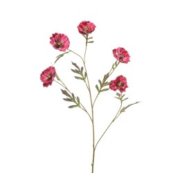 POPPY BURDEOS 113CM