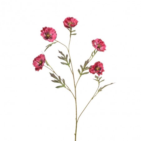 POPPY BURDEOS 113CM