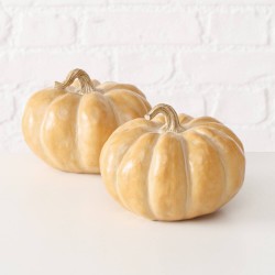 CALABAZA 10X14CM