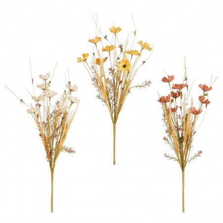 RAMO COSMOS OTOÑO