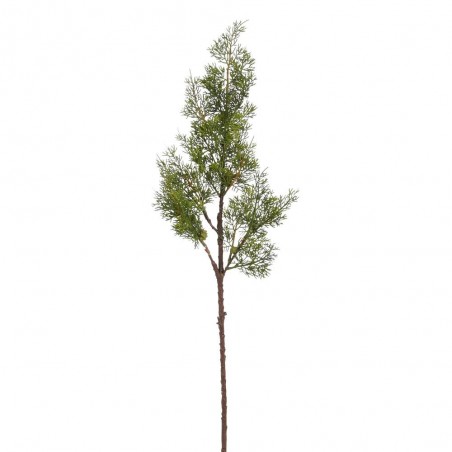 RAMA CEDRO 80CM