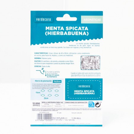SEMILLAS HIERBABUENA VERDECORA