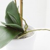 ORQUÍDEA ARTIFICIAL PHALAENOPSIS BLANCA 65CM MACETA