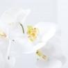 ORQUÍDEA ARTIFICIAL PHALAENOPSIS BLANCA 65CM MACETA