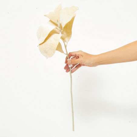 MAGNOLIA BEIGE DORADO TALLO 56CM