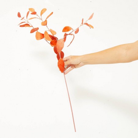 EUCALYPTHUS NARANJA TALLO 56CM