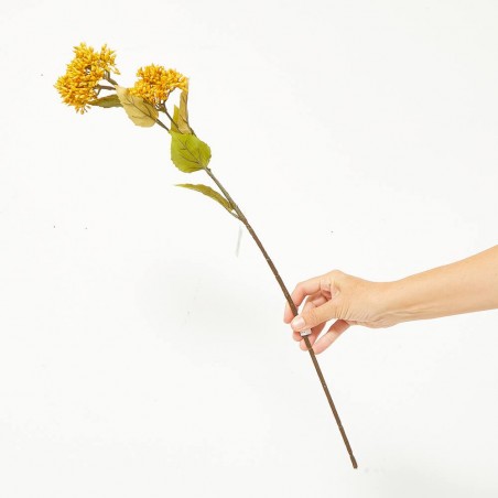 SEDUM MOSTAZA TALLO 67CM