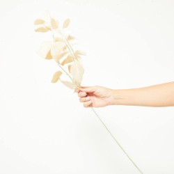 HOJAS EUCALYPTHUS TALLO BEIGE-DORADO 56CM