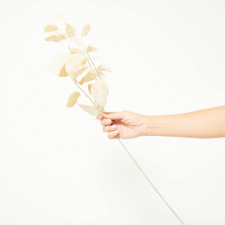 HOJAS EUCALYPTHUS TALLO BEIGE-DORADO 56CM