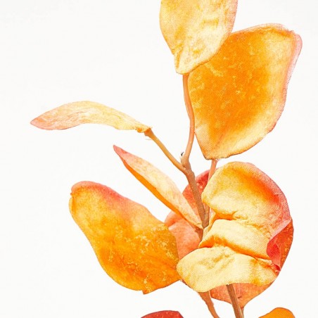 EUCALYPTUS DRY LOOK NARANJA TALLO 100CM