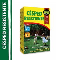 SEMILLAS CÉSPED RESISTENTE