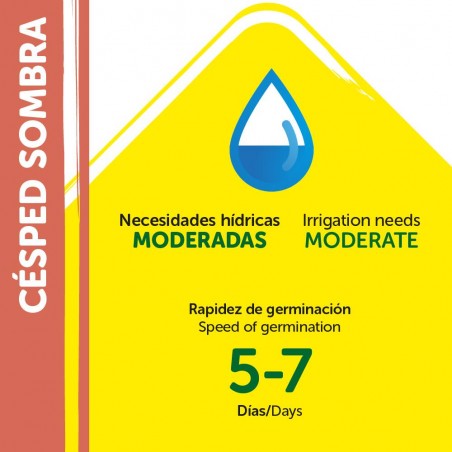 SEMILLAS CÉSPED SOMBRA 1KG