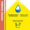 SEMILLAS CÉSPED SOMBRA 1KG