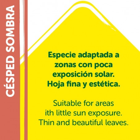 SEMILLAS CÉSPED SOMBRA 1KG