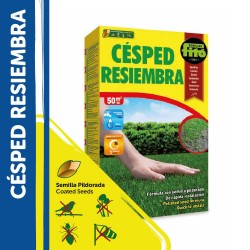 SEMILLAS CÉSPED RESIEMBRA PILDORADO 1KG
