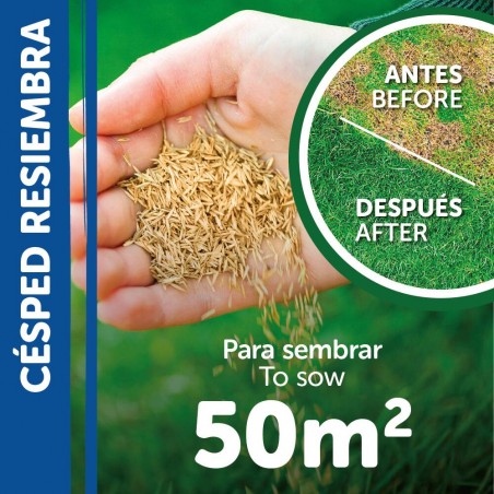 SEMILLAS CÉSPED RESIEMBRA PILDORADO 1KG