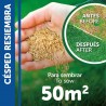 SEMILLAS CÉSPED RESIEMBRA PILDORADO 1KG