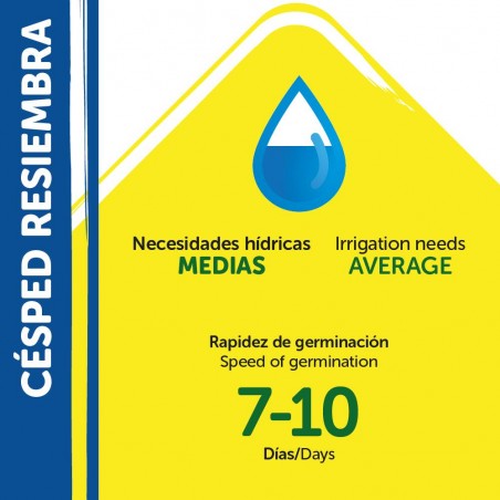 SEMILLAS CÉSPED RESIEMBRA PILDORADO 1KG