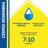 SEMILLAS CÉSPED RESIEMBRA PILDORADO 1KG