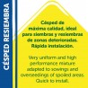 SEMILLAS CÉSPED RESIEMBRA PILDORADO 1KG