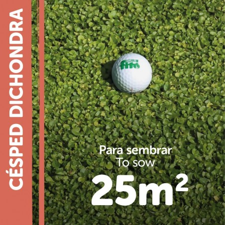 SEMILLAS DICHONDRA REPENS 250GR