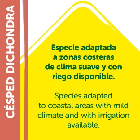 SEMILLAS DICHONDRA REPENS 250GR