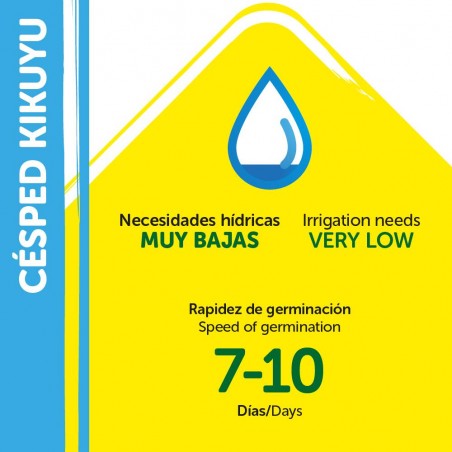 SEMILLAS KIKUYU WHITTET 250GR