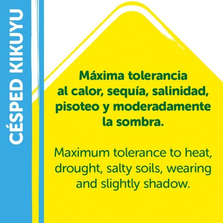 SEMILLAS KIKUYU WHITTET 250GR