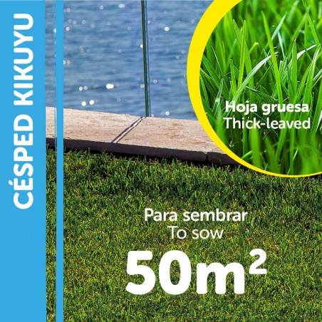 SEMILLAS KIKUYU WHITTET 250GR