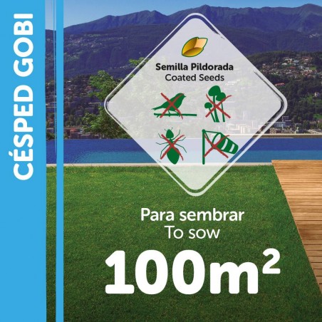 SEMILLAS CÉSPED CYNODON DACTYLON GOBI 1KG