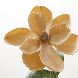 MAGNOLIA ARTIFICIAL BEIGE 75CM VARA