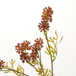 SEDUM COÑAC TALLO 42CM