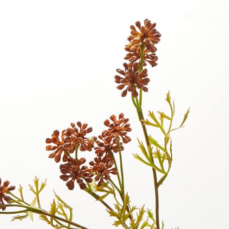 SEDUM COÑAC TALLO 42CM
