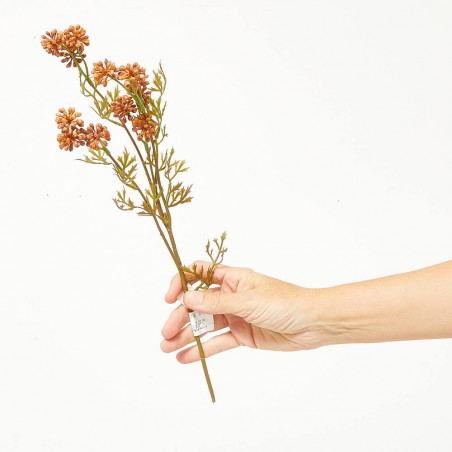 SEDUM COÑAC TALLO 42CM