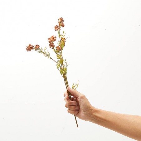 SEDUM COÑAC TALLO 42CM