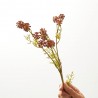 SEDUM COÑAC TALLO 42CM
