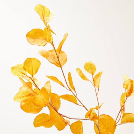 EUCALYPTUS DRY LOOK OTOÑO TALLO 100CM