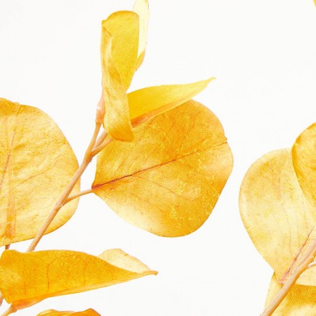 EUCALYPTUS DRY LOOK OTOÑO TALLO 100CM