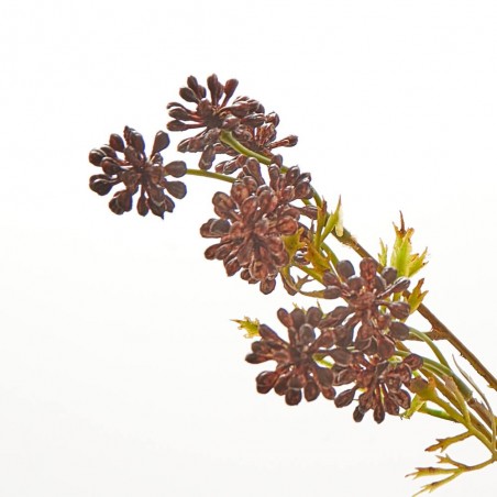 SEDUM ALBUM BURDEOS TALLO 42CM