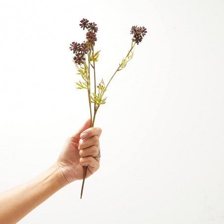 SEDUM ALBUM BURDEOS TALLO 42CM