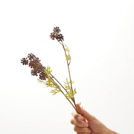 SEDUM ALBUM BURDEOS TALLO 42CM