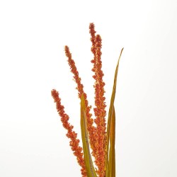 RAMA RICE. 76 CM. NARANJA.