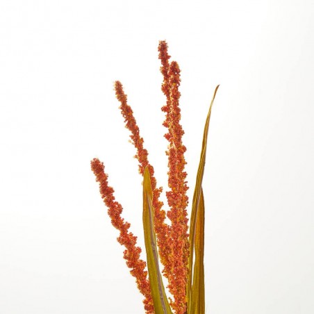 RAMA RICE. 76 CM. NARANJA.