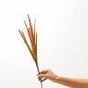 RAMA RICE. 76 CM. NARANJA.