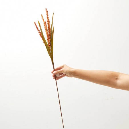 RAMA RICE. 76 CM. NARANJA.